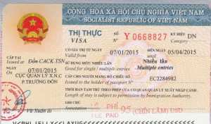 Vietnam Visa Types and Validity – 20 Main Categories 2024